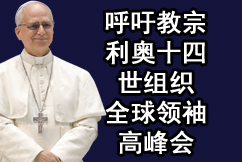 呼吁教宗利奥十四世组织全球领袖高峰会，以探讨和平与核裁军议题